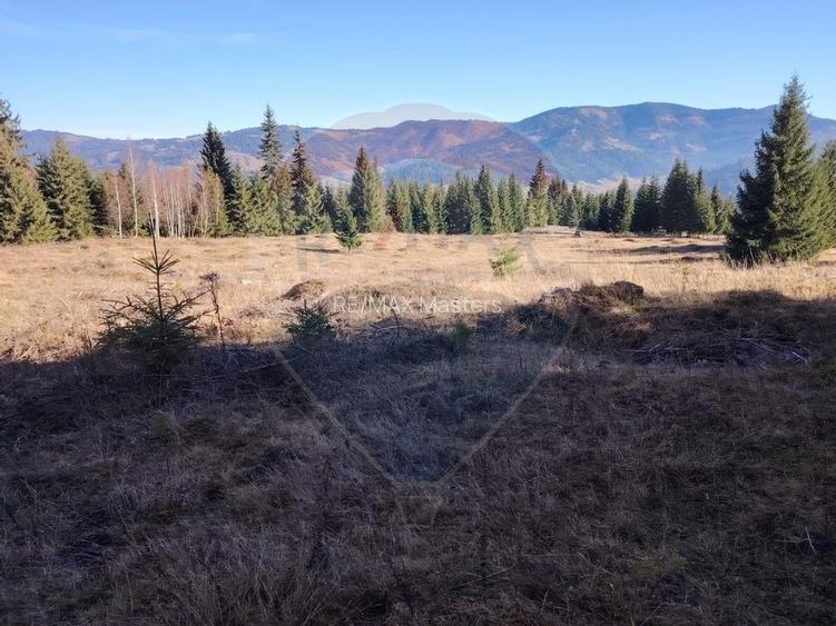 Teren 16,289mp Coverca / Drumul Bucinis - 10