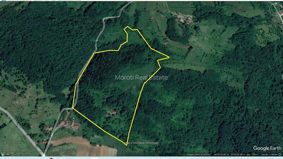 Domeniu de 7 ha in Apuseni - Criscior, Hunedoara - 6