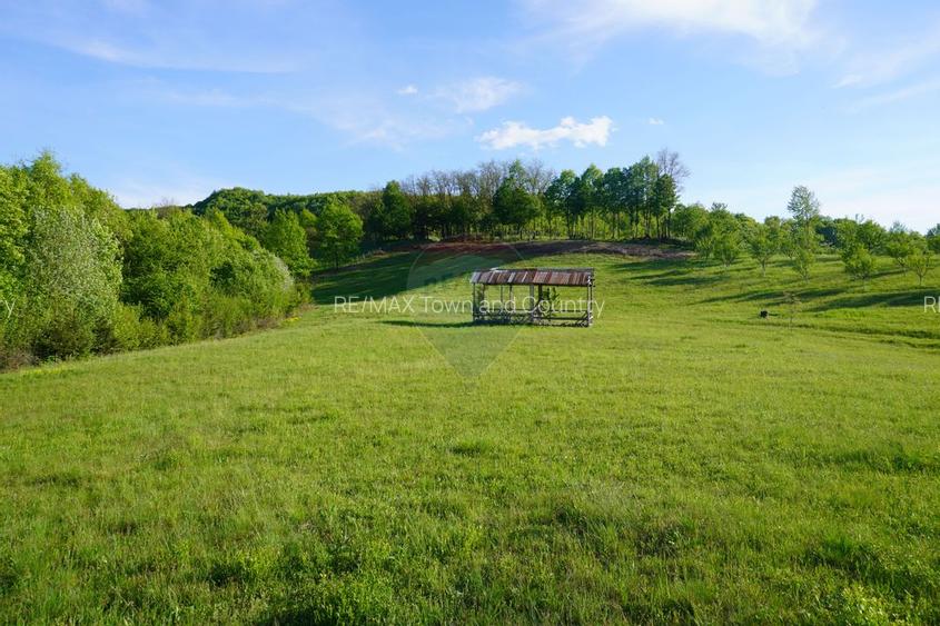 Teren 15,000mp Sighetu Marmatiei / Strada Mocanitei - 13