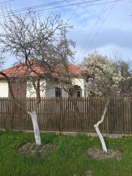 Teren intravilan cu casa batraneasca - 2