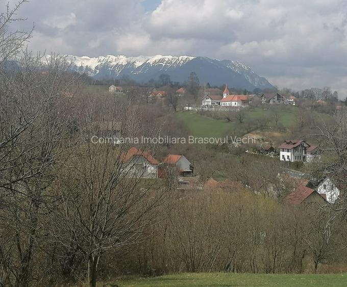 Teren intravilan parcele 1.500 mp Sohodol - Bran. - 6
