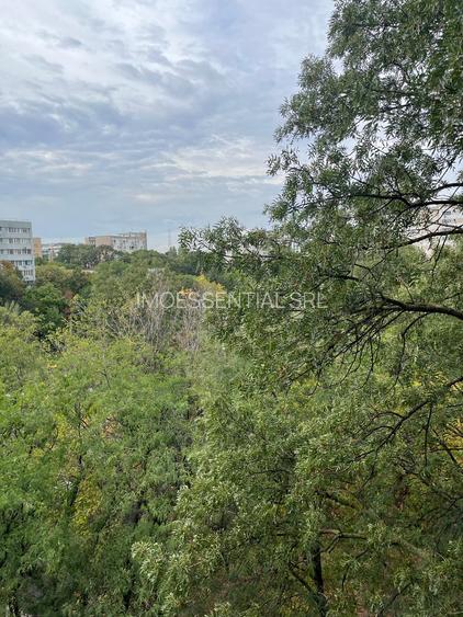 3 camere semidecomandat Drumul Taberei Parc Moghioros - 11