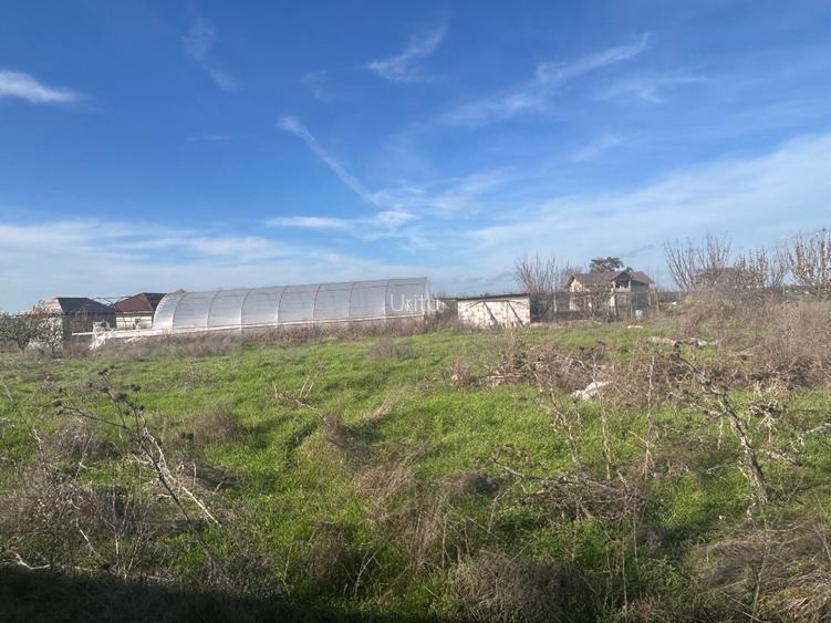 Teren extravilan 5000 mp - 9