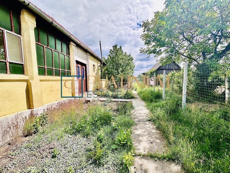 P4504 Casa cu 5 camere in Becicherecu Mic teren 961 mp ASFALT - 18