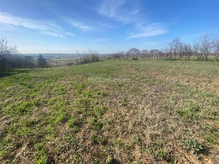 RECO teren extravilan 2148mp Episcopia - 4
