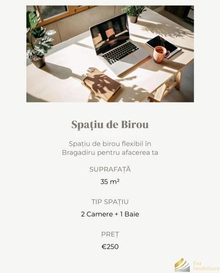 Hale de inchiriat: 275-450-550mp- Bragadiru - 5