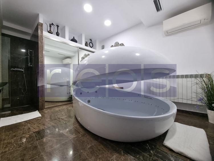 INCHIRIERE SPATIU COMERCIAL-2 VILE | ZONA MOGOSOAIA - 31