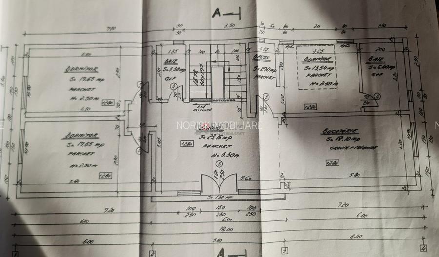 Vila + Afacere 15.000mp Clinceni - 31