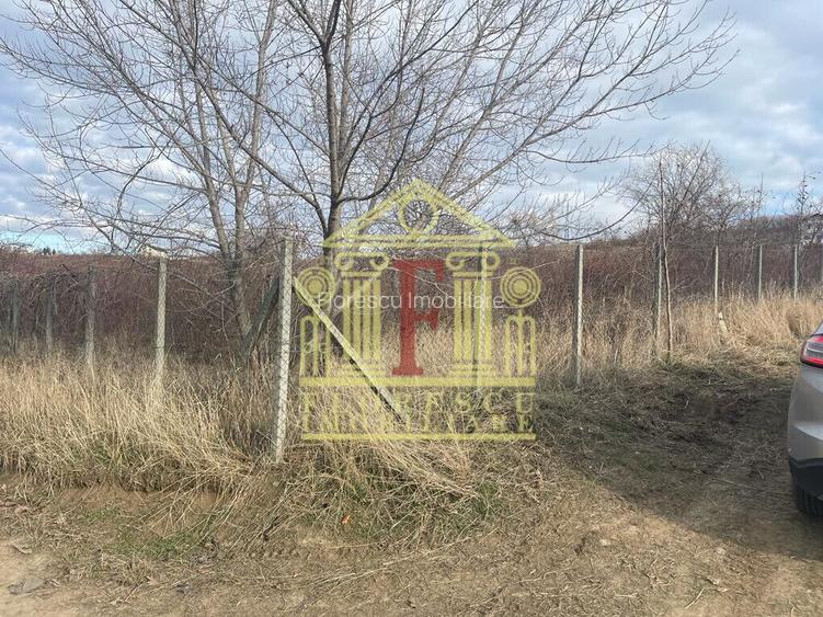 Teren Barnova  ! - 4