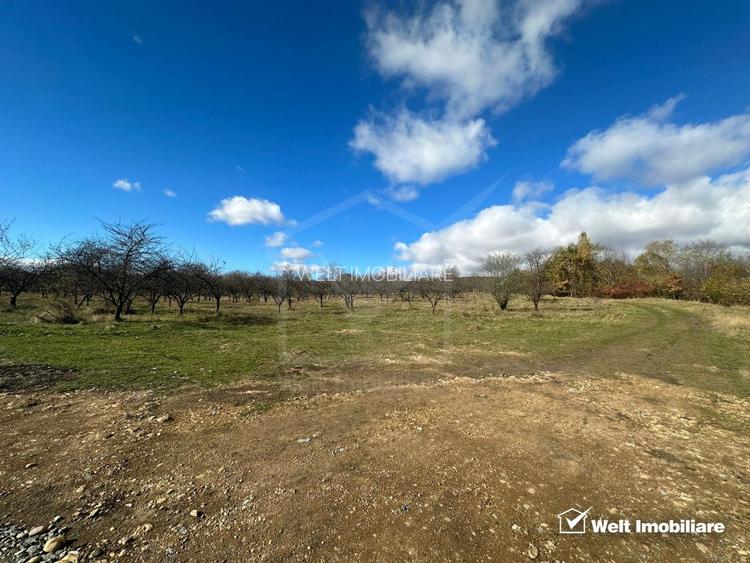 Teren Dambu Rotund 4750 mp, intravilan, UTR TDA_L, posibilitate investitie - 2