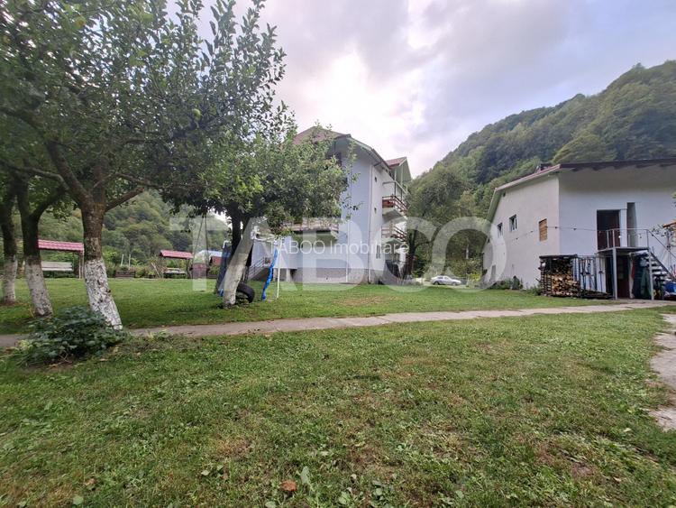 Spatiu de vanzare in Valea Macesului judel Valcea iesire la Lotru - 36