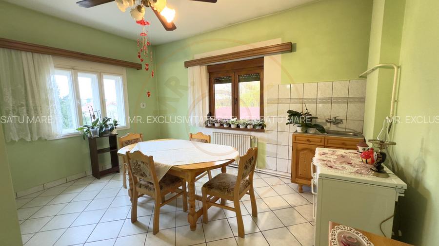Casa 7 camere cu Teren 4.620 mp | Potential pentru rezidenta sau afacere | Carei - 6