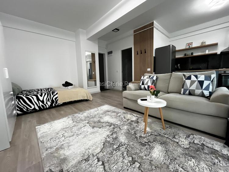 Apartament de inchiriat, o camera, Open space, 35 mp, Lunca Cetatuii - 2