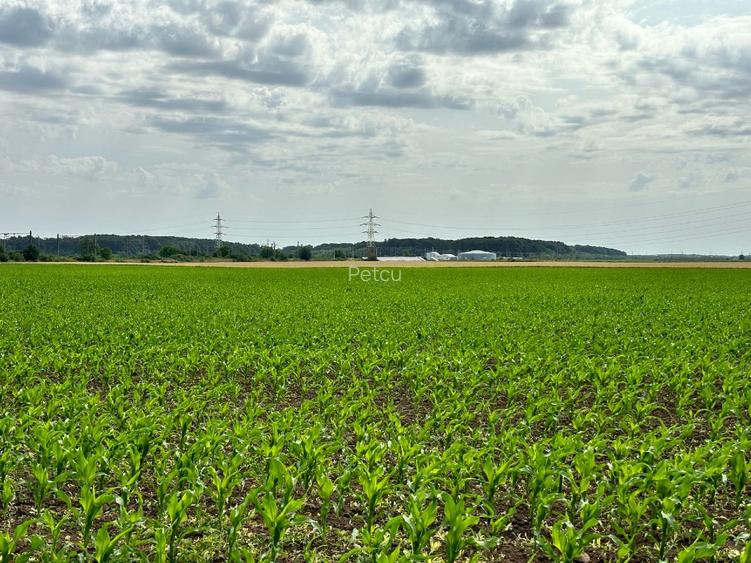 Dobroesti- Dragonul Roșu/Gara Pantelimon - 15.000 m.p. teren intravilan - 4