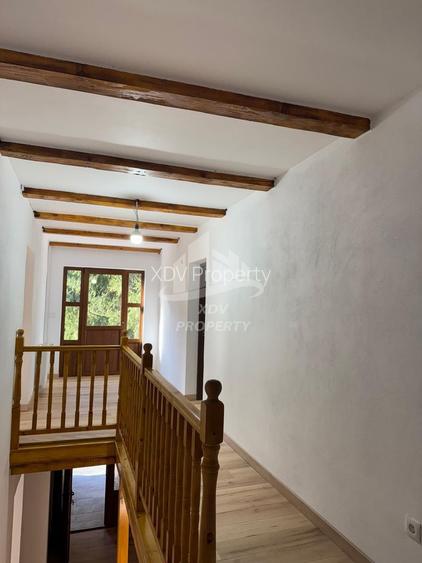 Pensiune/ Vila Valea Avrigului - 17