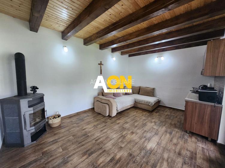 Cabană Ampoița + 1335 mp teren, Deschidere 50m + Proiect extindere - 6