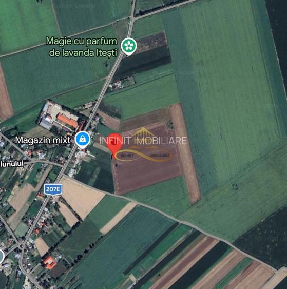 Teren agricol extravilan in Itesti de vanzare - 2