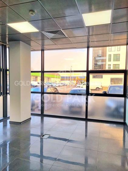 Spatiu de Birouri-Zona Traian Vuia-Parcare/Suprafete de la 50-160 mp - 15