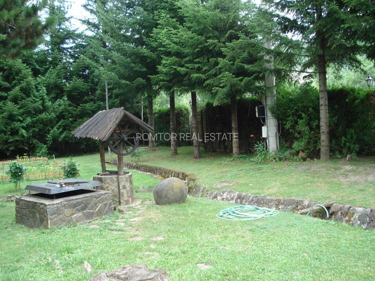 Campina Valea Doftanei Sotrile Paltinu - 19