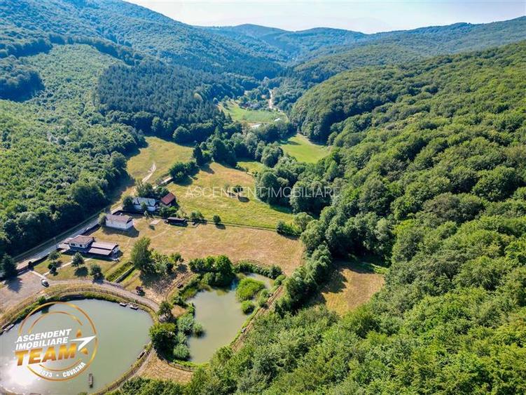 FILM! Teren extravilan pe 2.737mp,zona pretioasa,acces facil,Dobarlau,Covasna - 24
