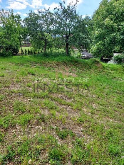 Teren la liziera padurii! - 2