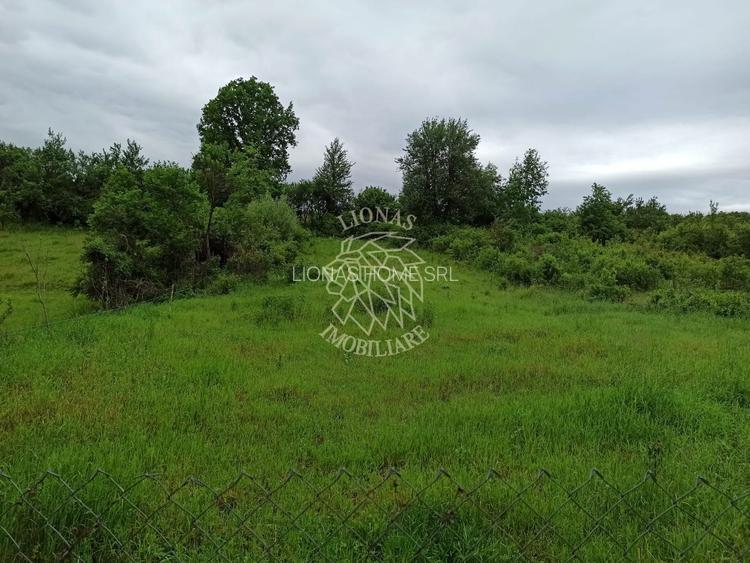 Casa 3 camere la DJ-renovata-teren 1000 mp-garaj-Blajenii de Jos - 4