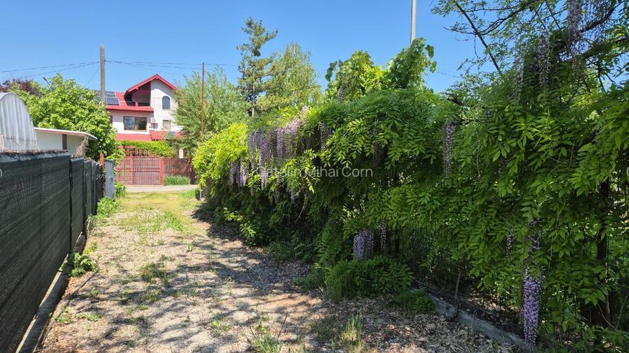 Snagov Astoria/Santu FLoresti langa padure si lac vanzare casa, proprietar - 9