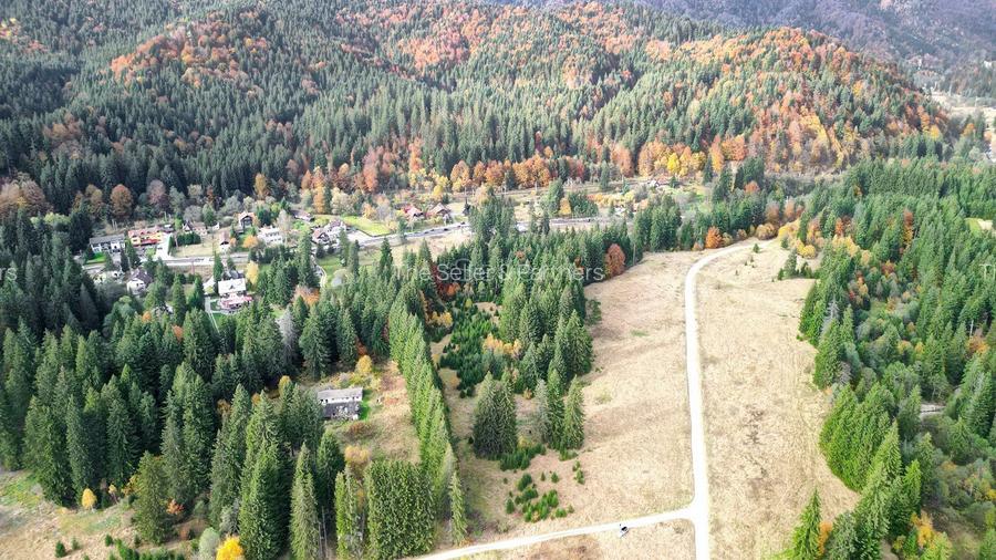 Poiana lui Manole - teren Intravilan - 26