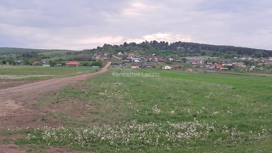 Parcele intravilan (590mp) cu PUZ, Panoramă frumoasă, 5 km de la Sfântu Gheorghe - 5