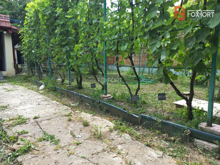 Casa individuala de vanzare in Timisoara | Potential extindere | Teren 421 mp - 6