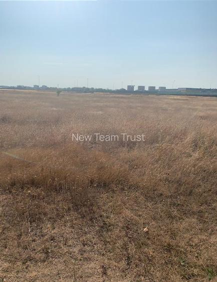 Vanzare  Teren  Pipera - 4