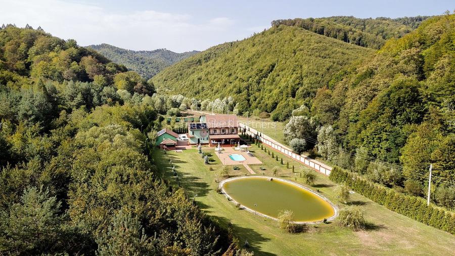 Proprietate Deosebita - Liziera Padurii - 33