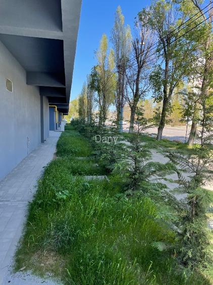 Studio în centrul  Stațiunii  Mamaia - 6