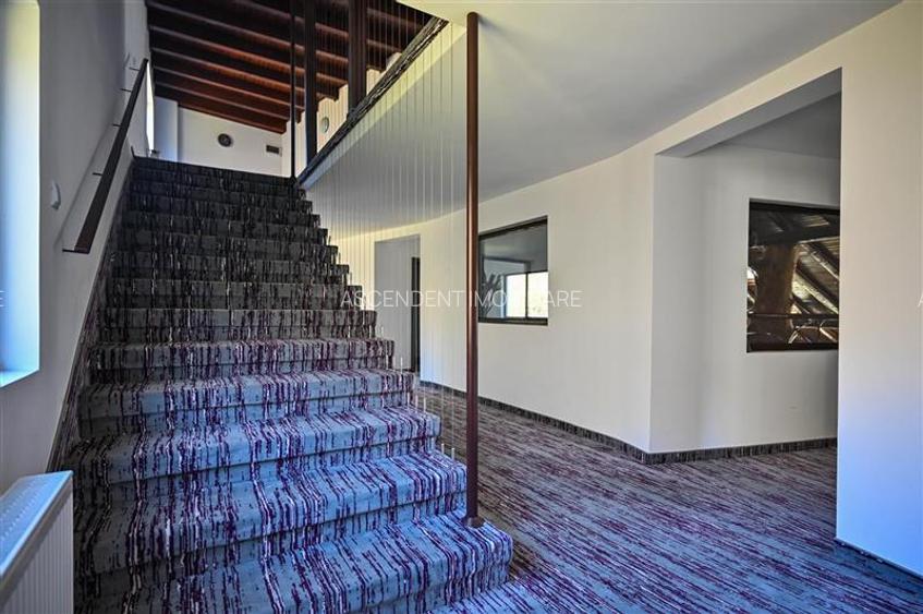 Pensiune noua, cu acces la rau, Bran-Moieciu - 19