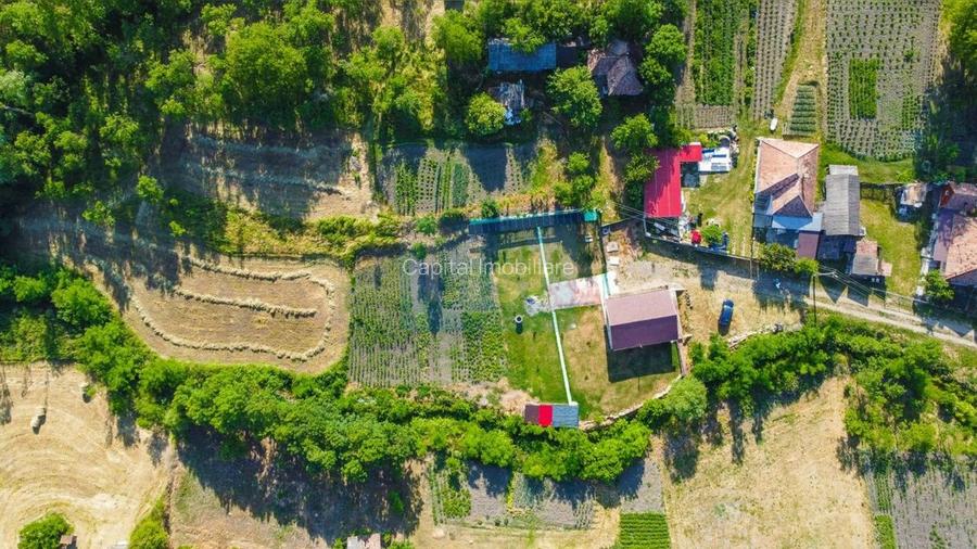 Casa cu teren de 3100 mp de vanzare in comuna Cornesti - 16