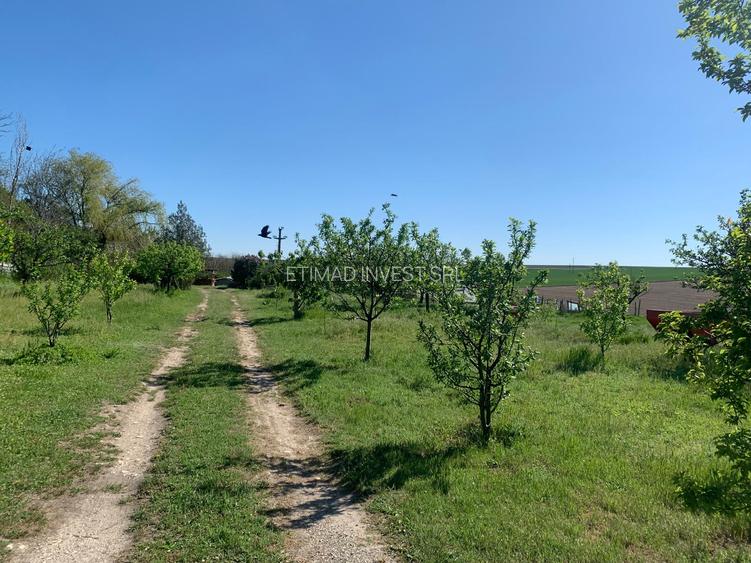 FERMĂ - PIETRENI - DN3 - UTILITĂȚI - 10.680 MP - 22