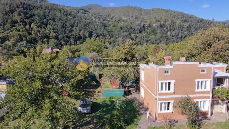 Casa tradițională de vânzare - Alexandru cel Bun - 11