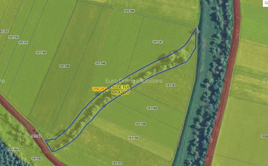 Afacere/Restaurant -Salon evenimente capacitate 600 persoane - 31