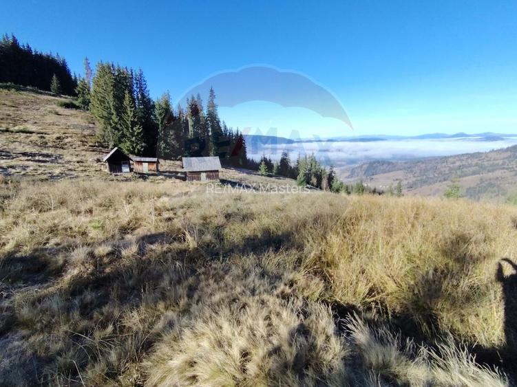 Teren 31,461mp Panaci / Prelungirea Ialovita - 15