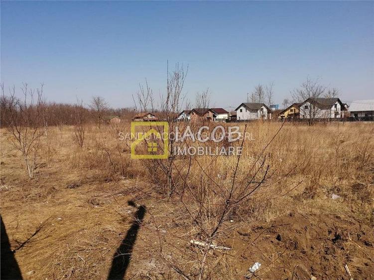 Teren 6208 mp Bacau / Strada 2 Stejari - 7