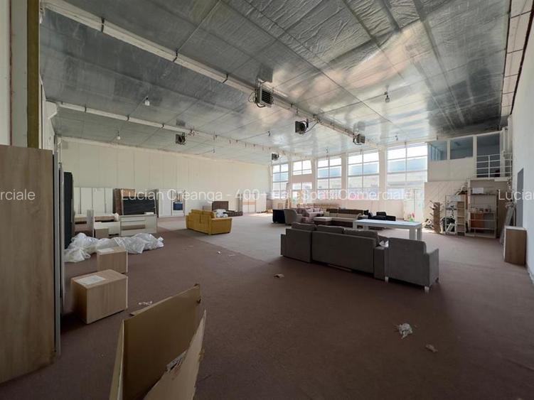 Showroom 457mp langa Carrefour, Kaufland, magazine tehnice - 9