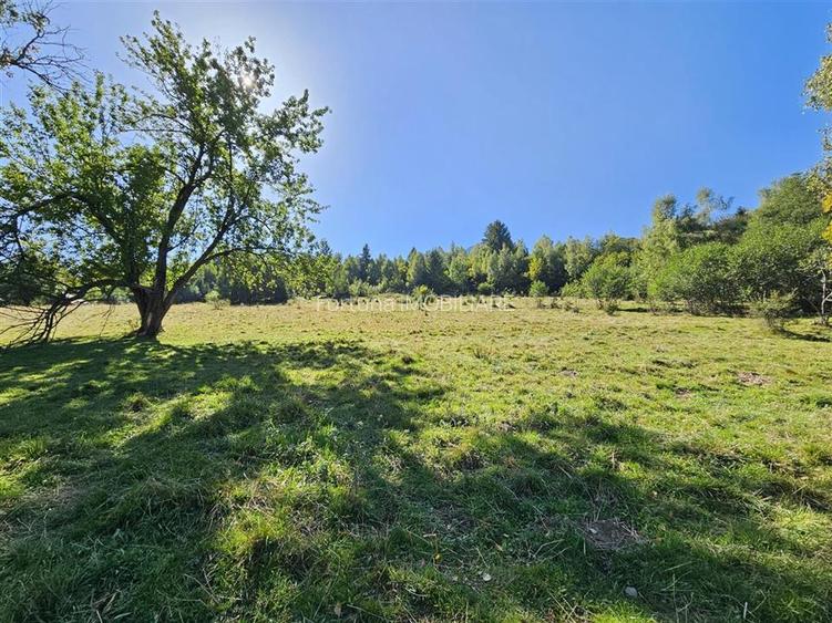 Teren intravilan, 21.000 mp, Zona Intre Barse, spre Plaiul Foii, Zarnesti - 3