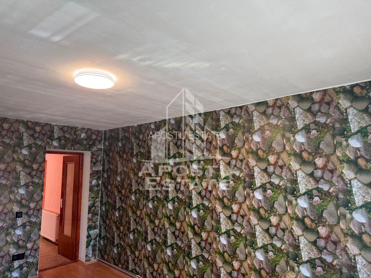 Casa individuala cu 193 mp utili in Timisoara - 10