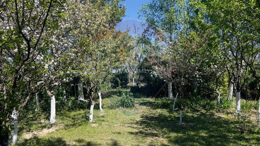 Casă / Vilă cu 4 camere de vânzare - 4