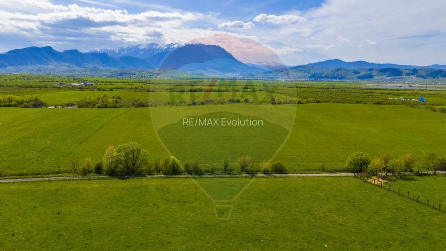 Teren 3000mp de vânzare în Râșnov / Pănicel - 11