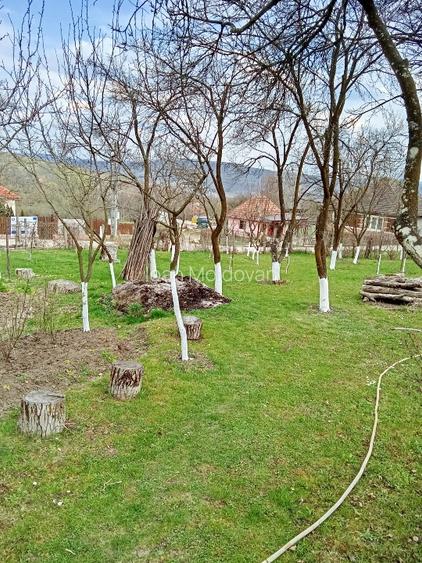 Proprietate de vânzare  - 10