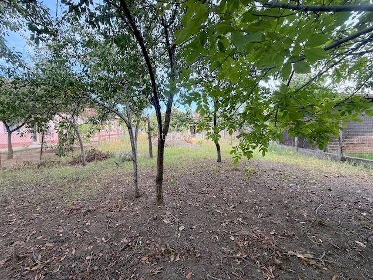 Casă individuală de vânzare, Mircea cel Bătrân, Timișoara - 2