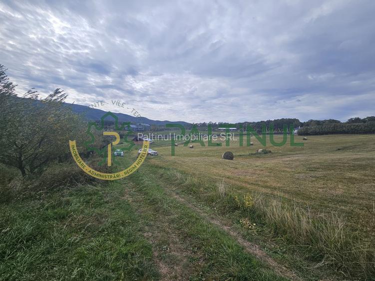 Teren de vanzare ,Tocile, Sibiu, case de vacanta si locuinte - 3