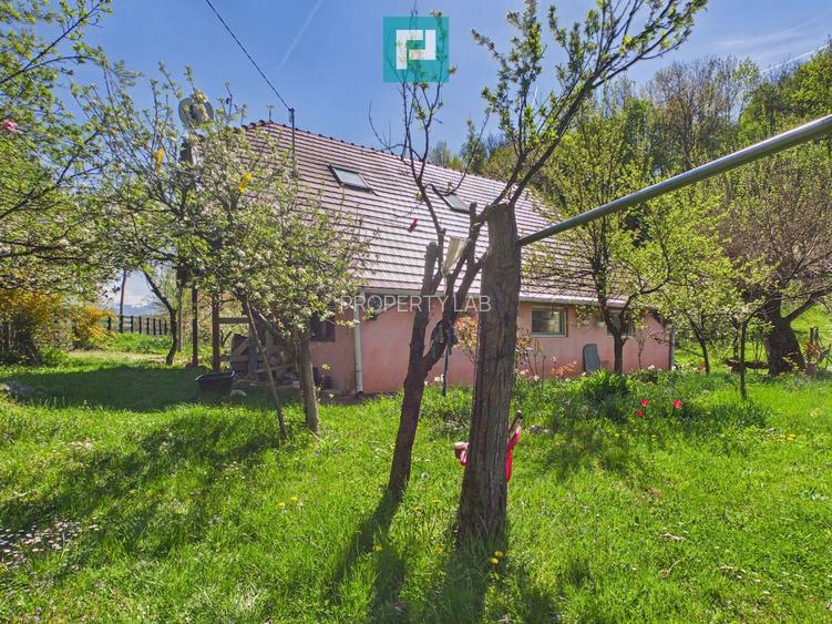 Casă Câmpani, 8000 mp teren, la poalele Apusenilor - 20