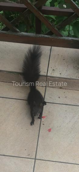 Casa superba Parcul Subarini - 39